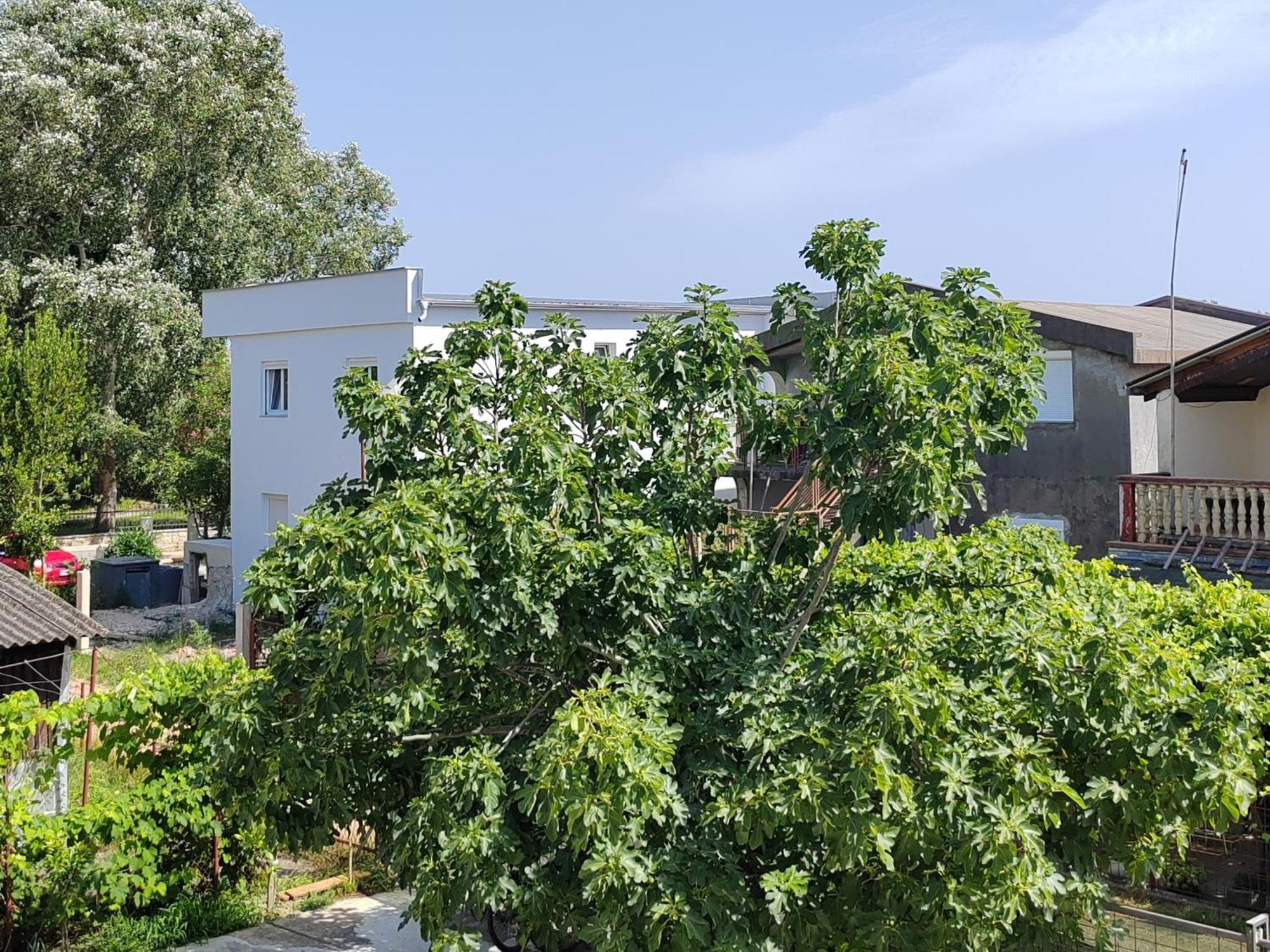 Vila Goga Ulcinj Zewnętrze zdjęcie